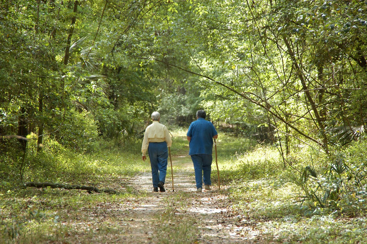 Two people walking along a forest path.