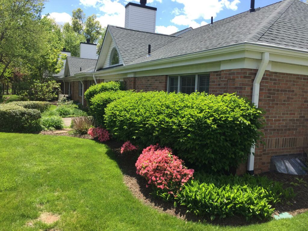 A view of a well-maintained garden with bushes alongside a brick house on a sunny day.