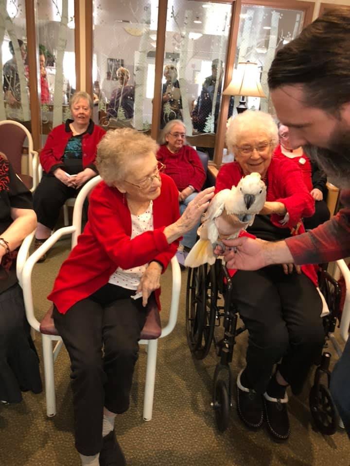 Elderly residents enjoying a visit with a parrot at a nursing home.