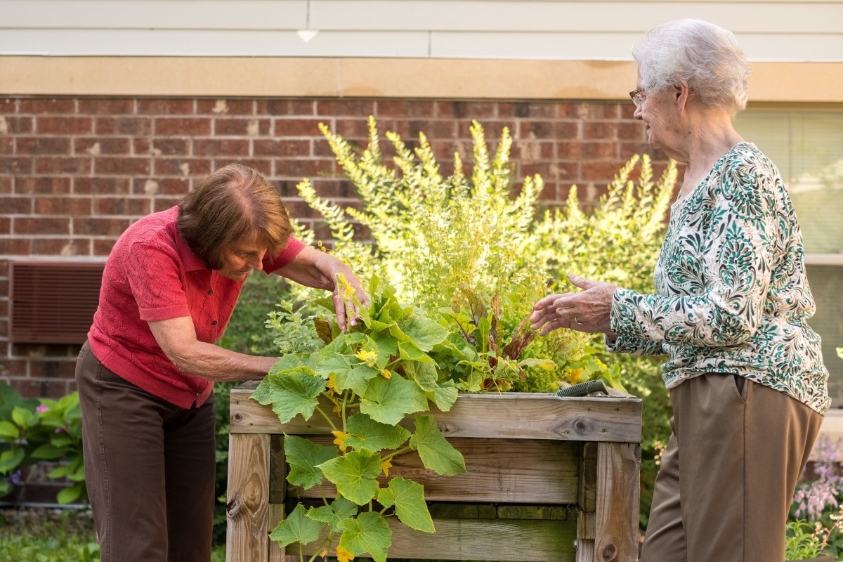 Two women tending to plants in a raised garden bed.