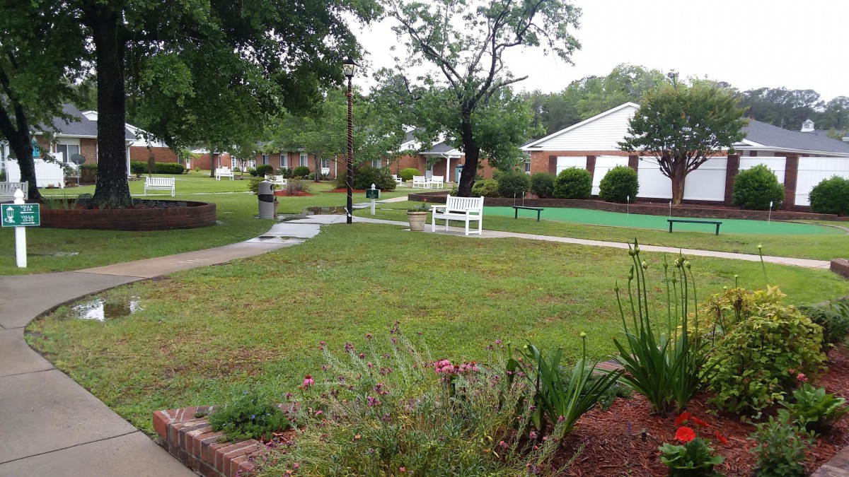 A peaceful garden with a bench and lush greenery.