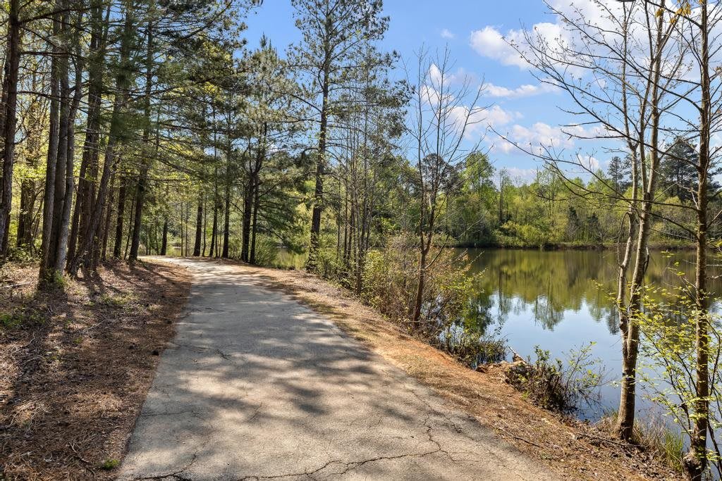 A scenic trail through a forest alongside a tranquil lake.