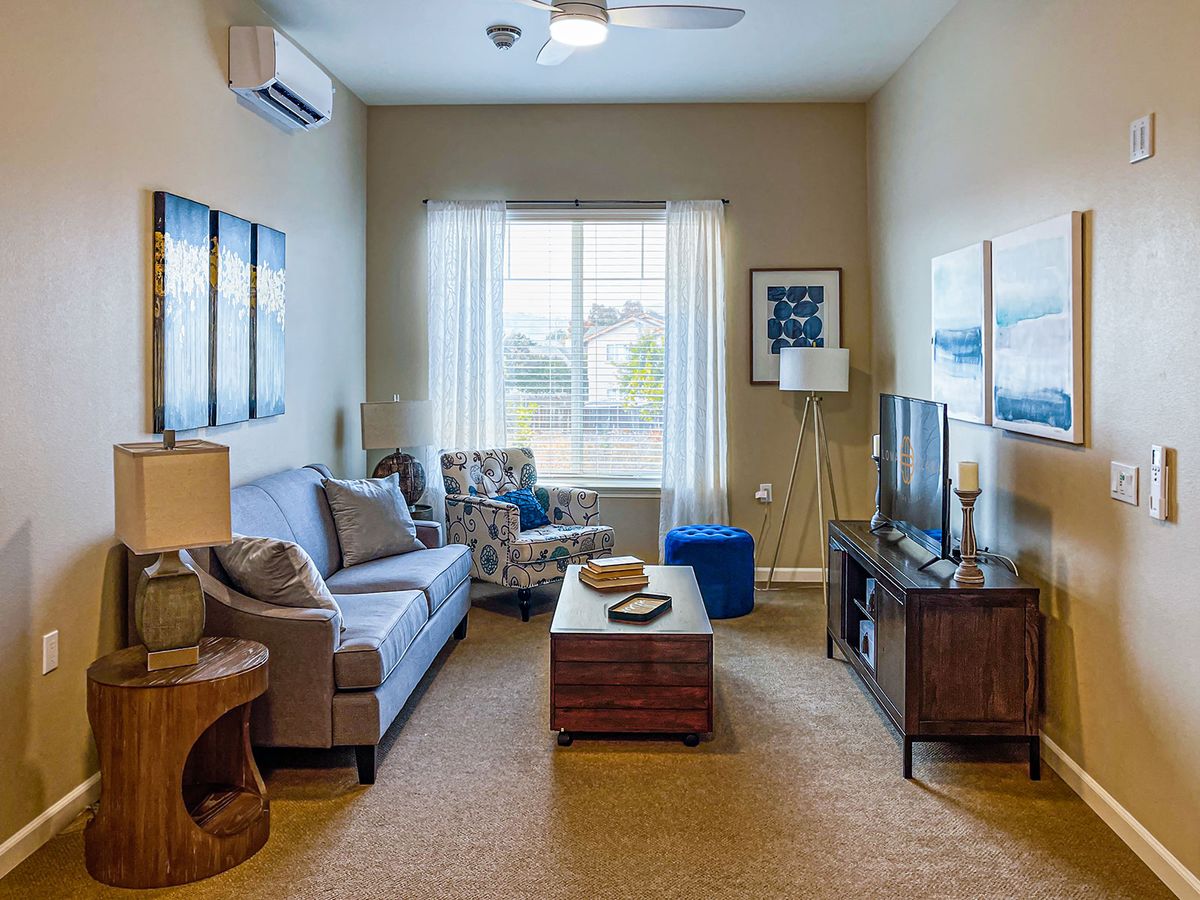 A cozy living room with a comfortable sofa, coffee table, and TV, decorated with artwork and illuminated by natural light from a window.