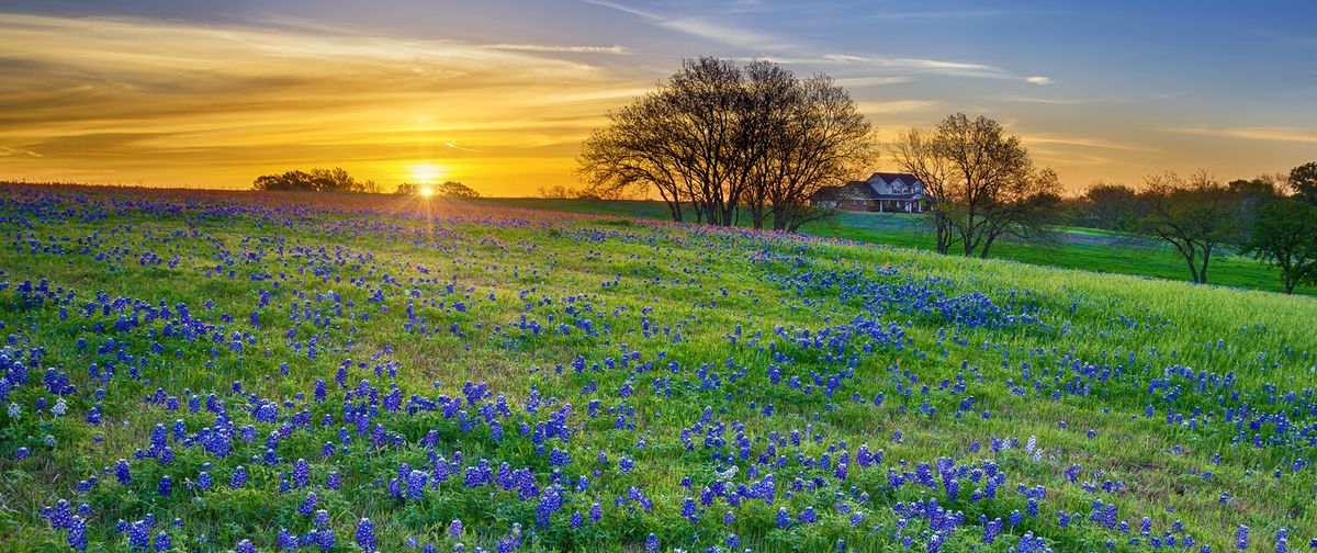 Canyon Creek Memory Care