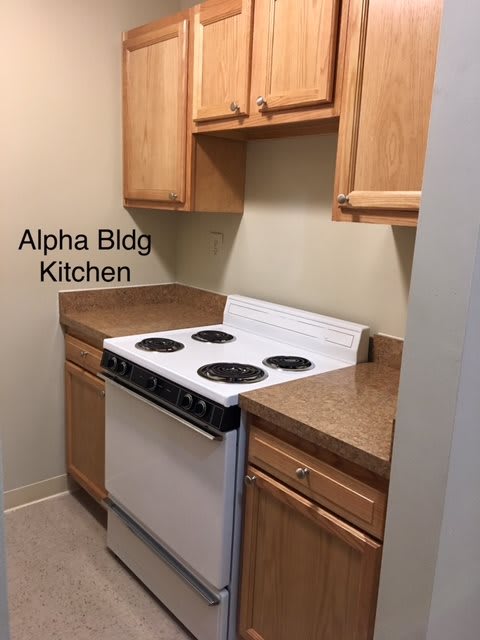 Compact kitchen area with wooden cabinets and an electric stove in Alpha Building.
