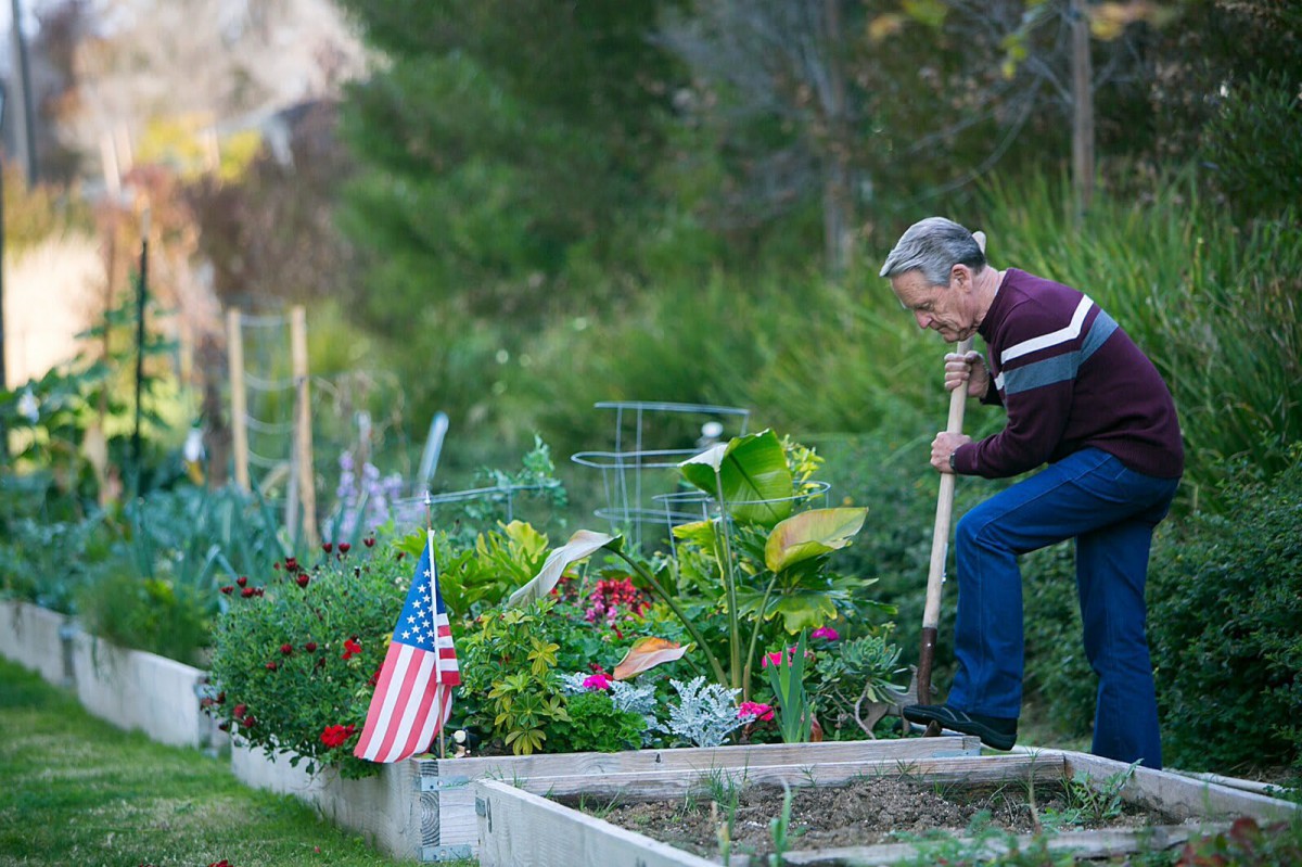 A man tends to his vegetable garden, using a shovel, with an American flag displayed nearby.