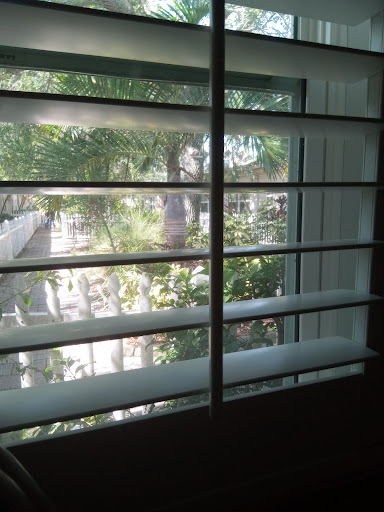A glimpse through the window showcasing green foliage and sunlight.