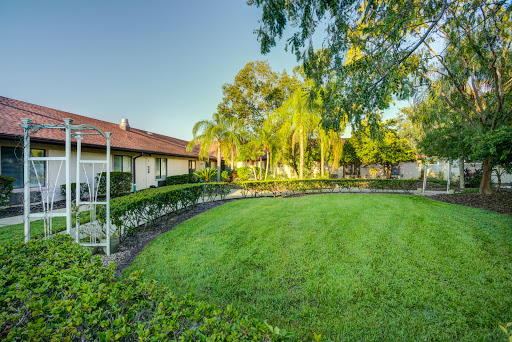A serene backyard with lush green grass and palm trees, perfect for relaxation.