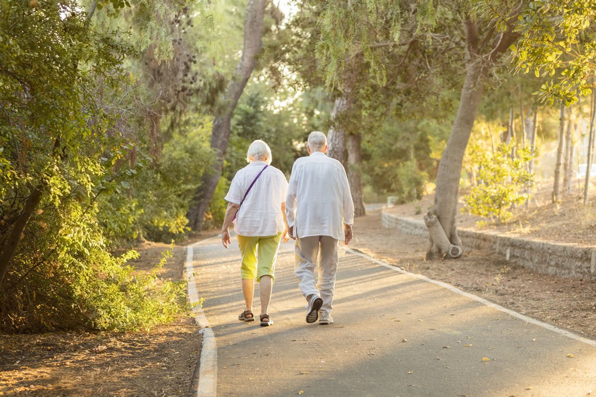 An elderly couple walks hand in hand along a tree-lined path in the park.