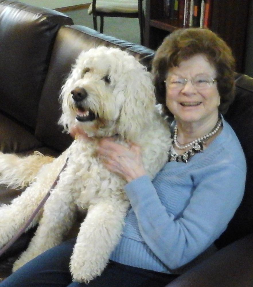 A woman sitting on a couch with a fluffy dog on her lap.