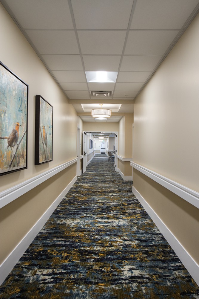A well-lit hallway with carpeted flooring and framed artwork on the walls.