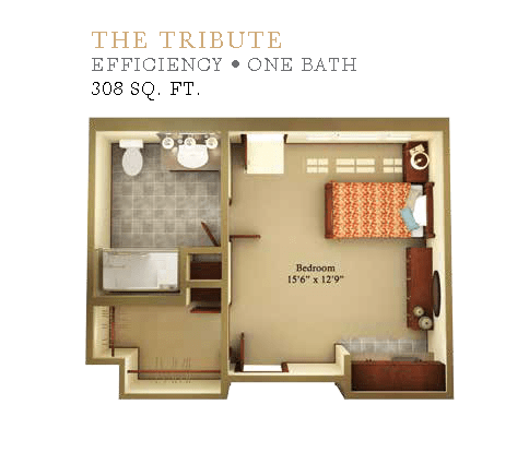 A floor plan of a studio apartment with one bathroom, titled 'The Tribute', covering 308 square feet.