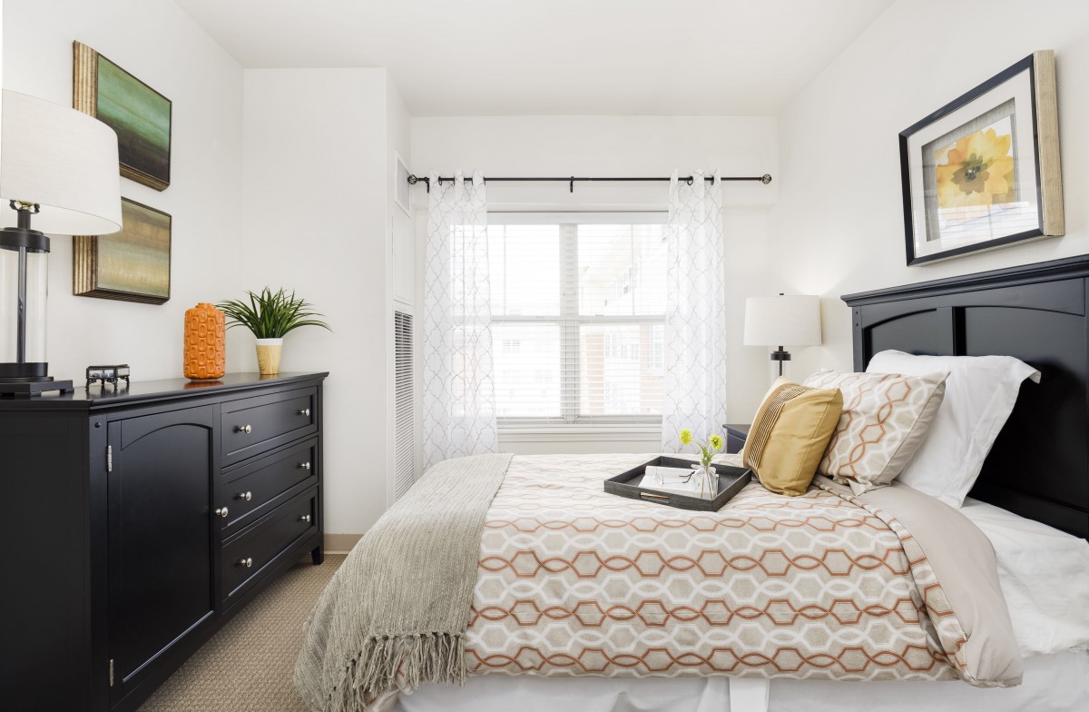 A modern bedroom with stylish decor featuring a bed, dresser, and large window.