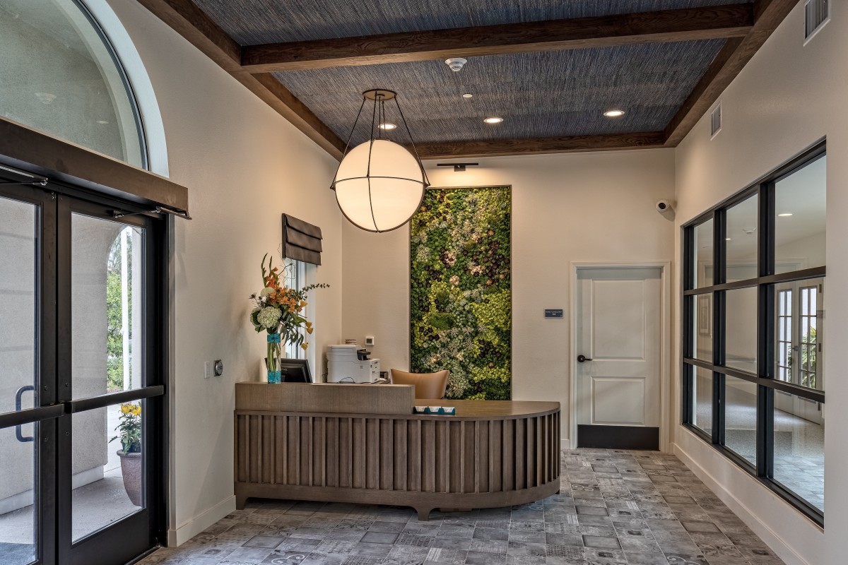 A modern reception area with a stylish desk, decorative greenery, and an elegant light fixture.