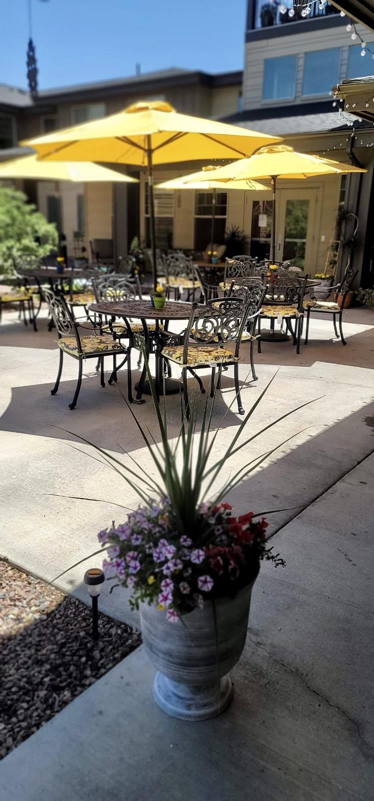 A sunlit patio with metal chairs and tables, adorned by a pot of colorful flowers.