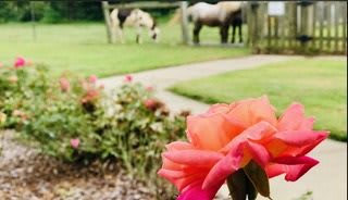 Blakey Hall Retirement Community