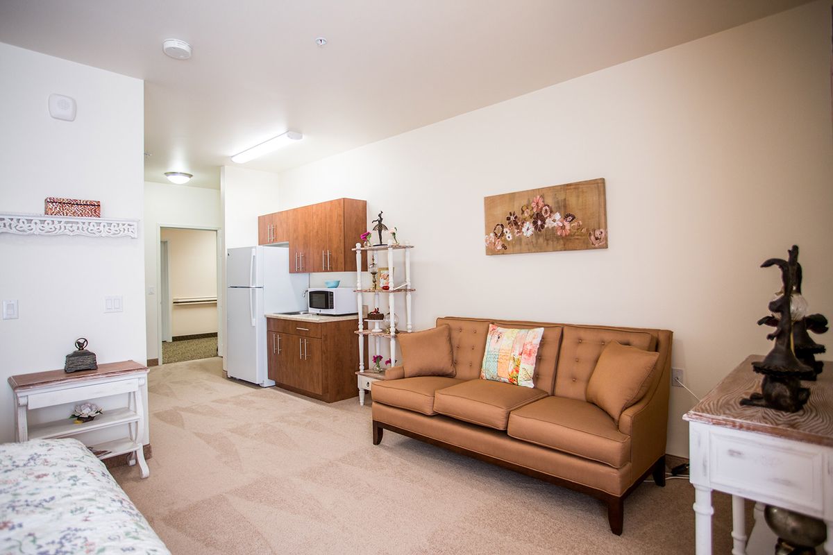 Small apartment interior with a kitchenette, featuring a sofa, shelves, and essential appliances.