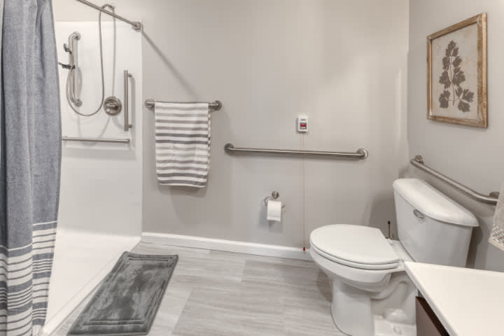 A modern and accessible bathroom with a shower, toilet, and grab bars for safety.