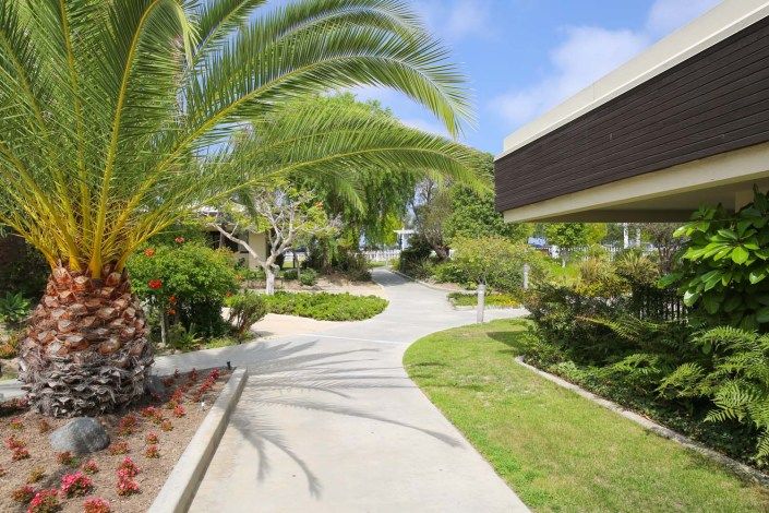 A sunny pathway lined with lush greenery and a modern building.