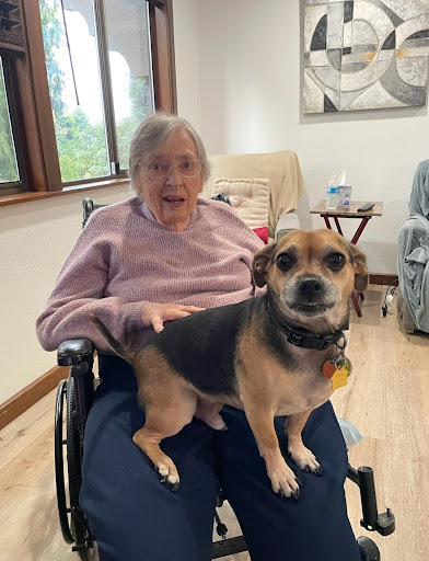 An elderly woman smiling while sitting in a wheelchair with a dog on her lap.