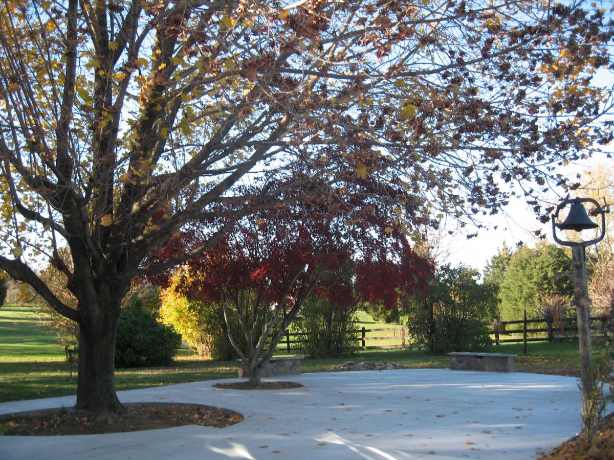 A scenic view of trees with colorful autumn leaves under a bright sky.