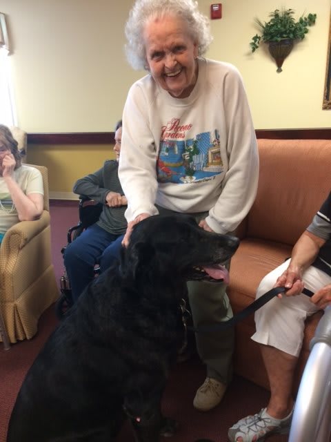 An elderly person happily interacting with a dog indoors.