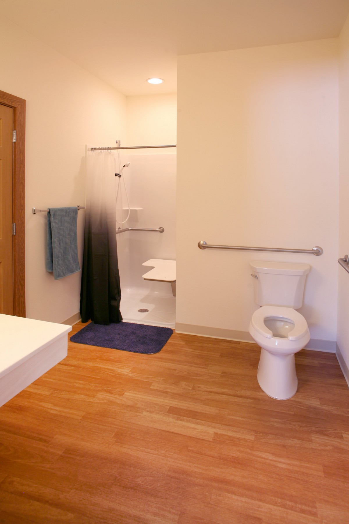 Accessible bathroom with a shower, toilet, and handrails.