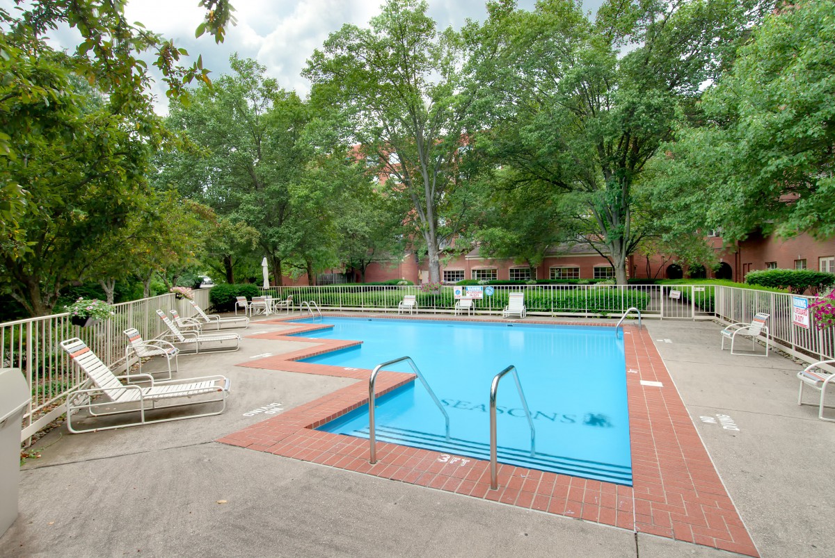 A serene outdoor swimming pool surrounded by trees and lounge chairs.