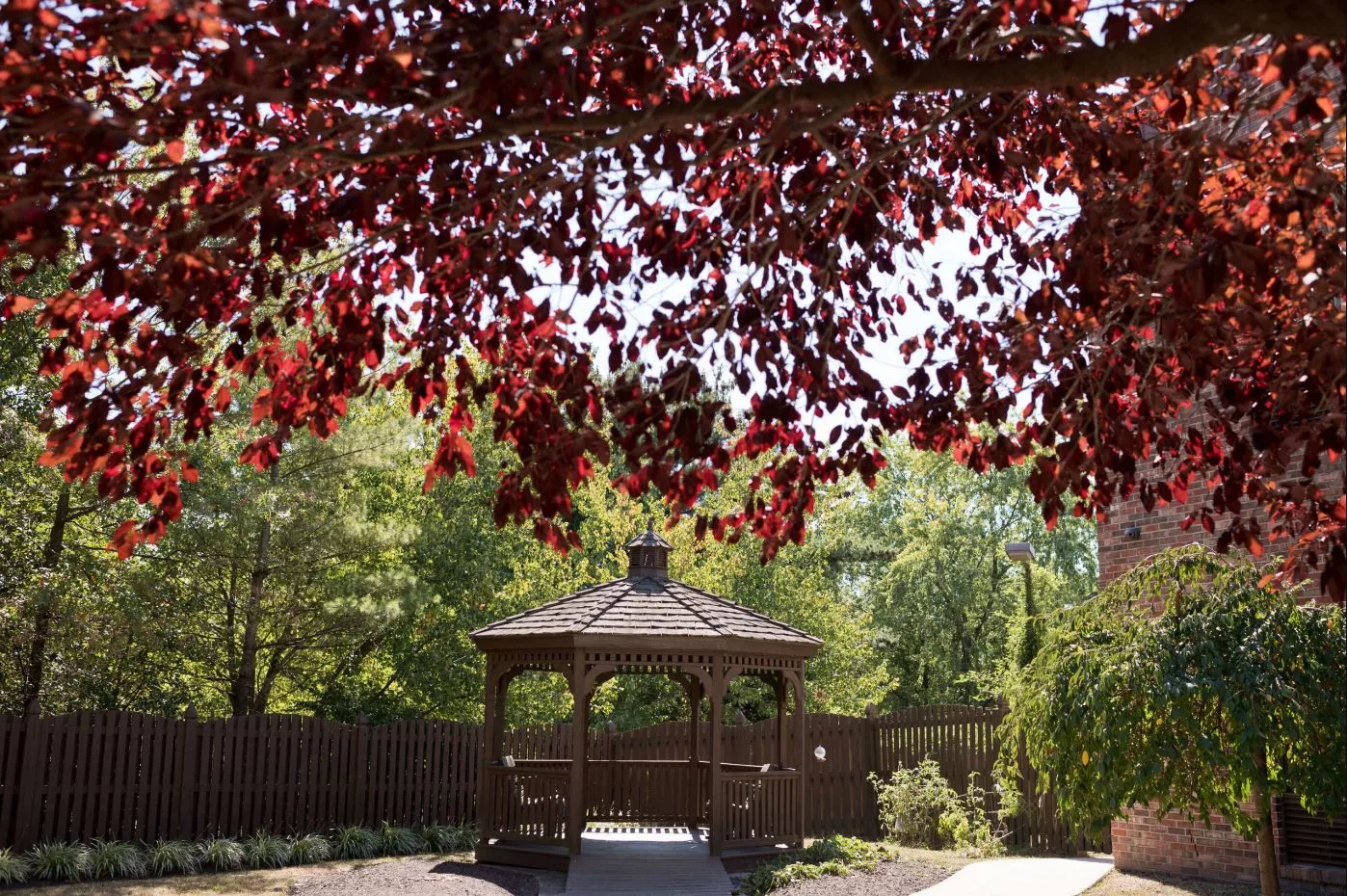 Autumn Lake Healthcare At Cherry Lane