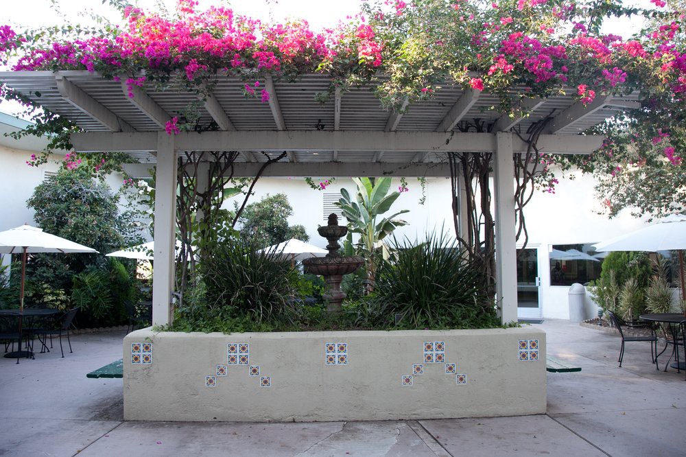 A picturesque garden scene with a pergola covered in blooming bougainvillea, featuring a central statue surrounded by lush greenery.