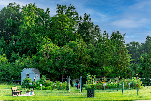 A serene garden surrounded by lush trees under a clear blue sky.