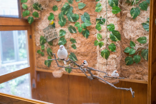 A serene moment captured with birds perched on a branch amidst lush greenery.