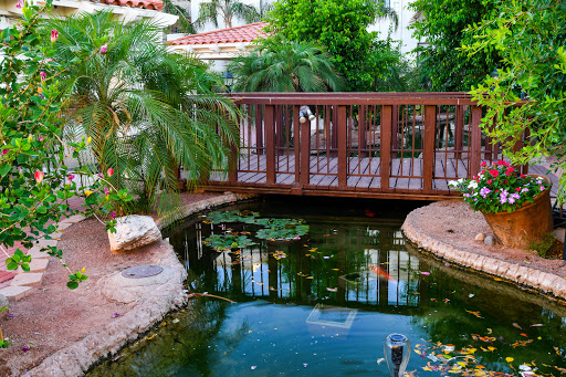Reflections At Fellowship Square Mesa