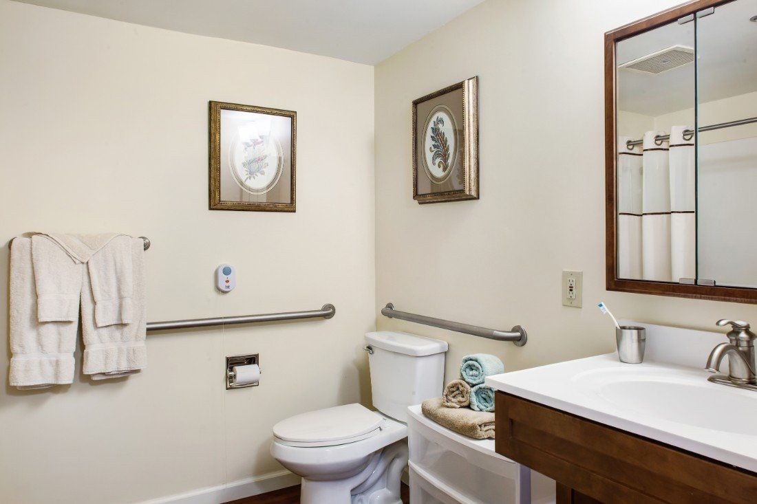 A small, well-lit bathroom featuring a toilet, sink, mirror, and wall artwork. The space is accented with towels and safety grab bars.