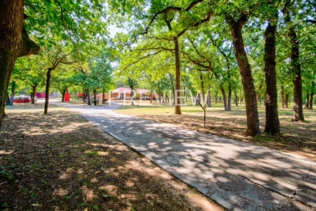 A peaceful park scene with a tree-lined pathway and dappled sunlight.