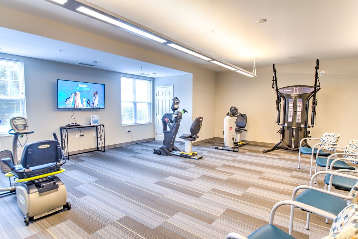A modern fitness room equipped with exercise machines and a TV.