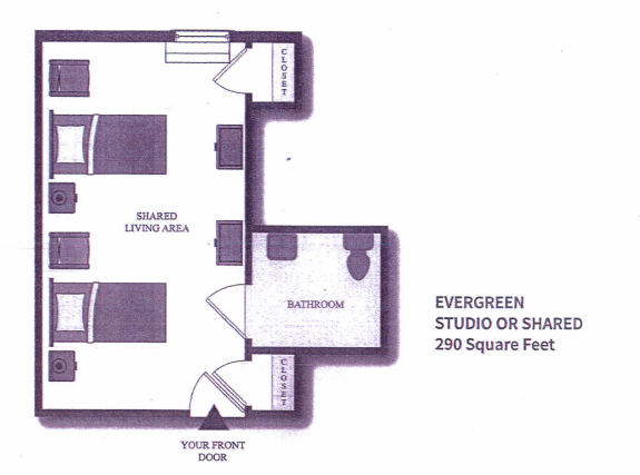 Floor plan of Evergreen studio or suite, measuring 250 square feet.
