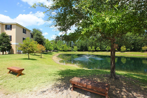 A serene park scene featuring a tranquil pond surrounded by lush greenery and a bench for relaxation.