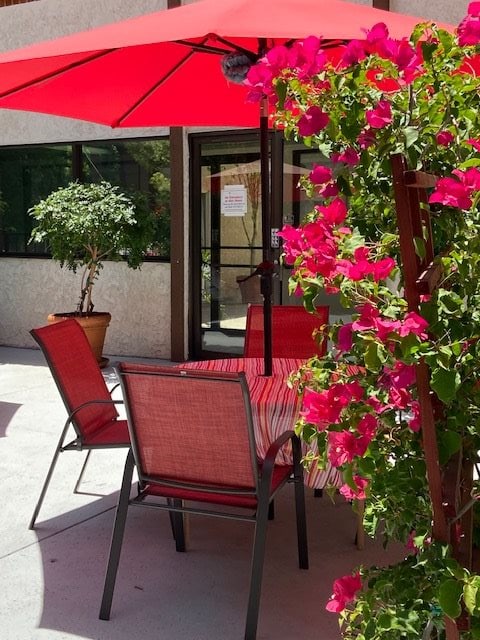 A sunny patio with red chairs and a table under a red umbrella, surrounded by vibrant bougainvillea flowers.
