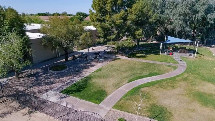A tranquil park with pathways winding through grassy areas and shaded by trees.