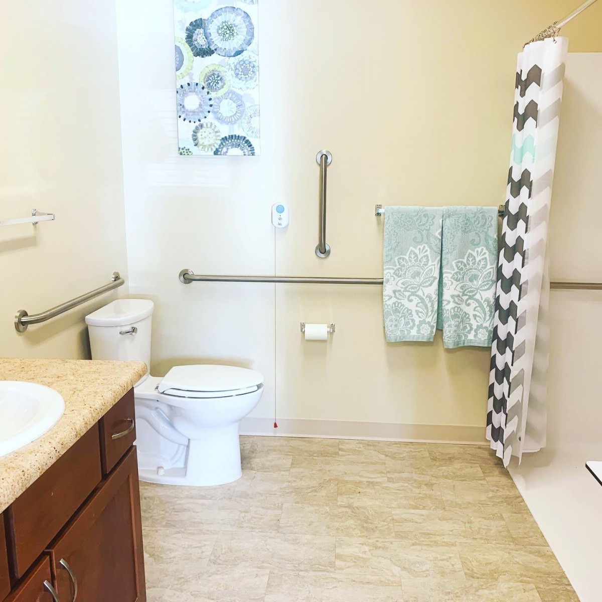 An accessible bathroom featuring a toilet, sink, shower with a curtain, and grab bars.