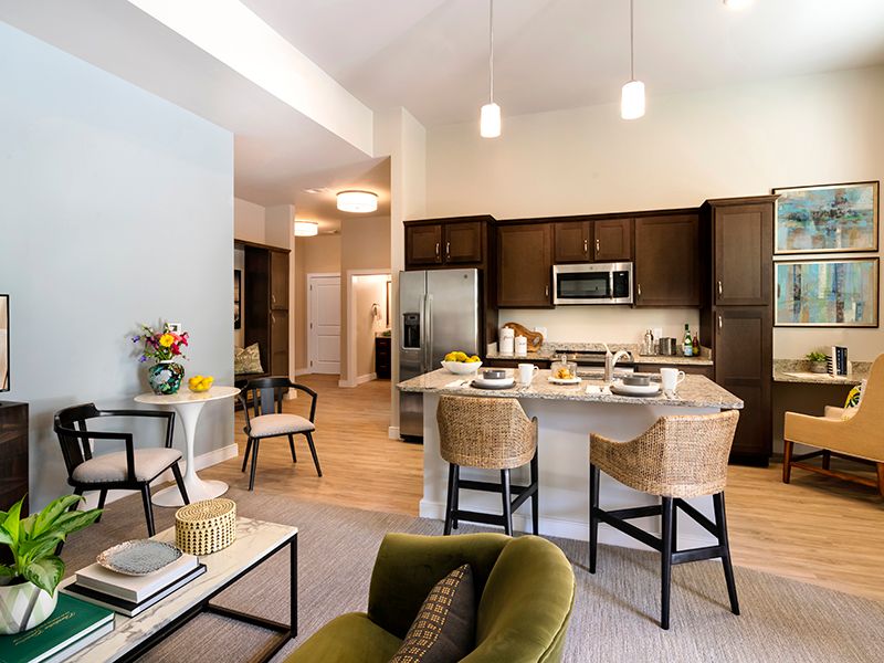 A modern open-concept kitchen and living area with stylish furniture and elegant decor.