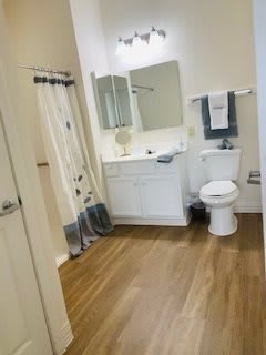 A modern bathroom featuring a toilet, sink with mirror, and shower curtain.