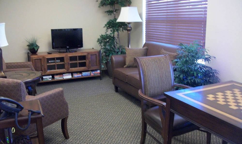A cozy waiting room with a television, sofa, chairs, and indoor plants.