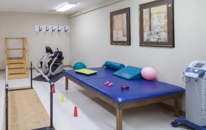 A physical therapy room equipped with exercise mats, balls, weights, and a stationary bike.