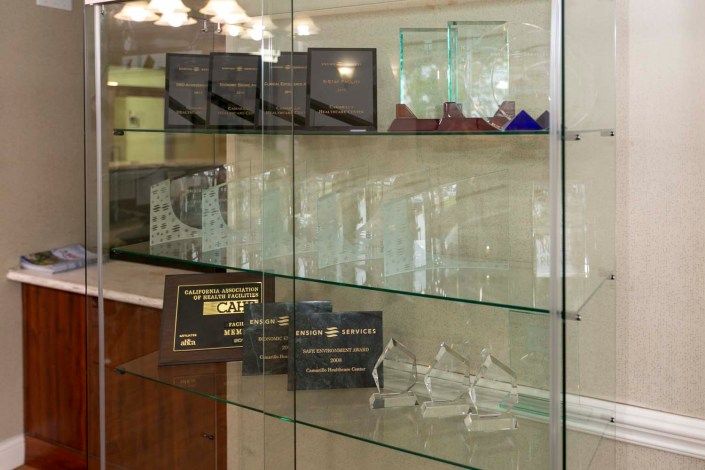 A glass display case showcasing various trophies and awards.