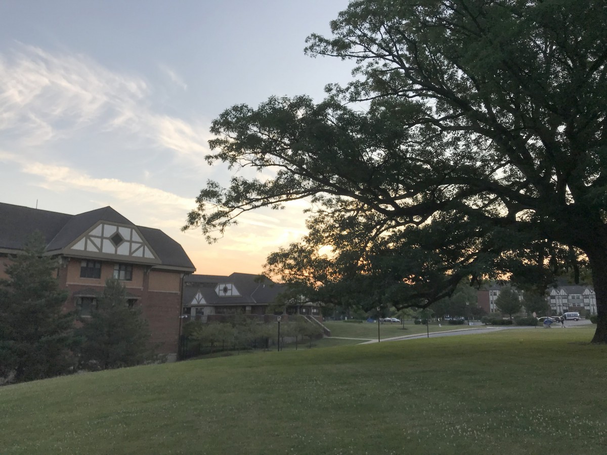 A scenic view of a sunset behind a tree and houses.
