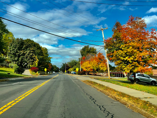 A serene autumn scene showcasing a peaceful road lined with vibrant trees under a clear blue sky.