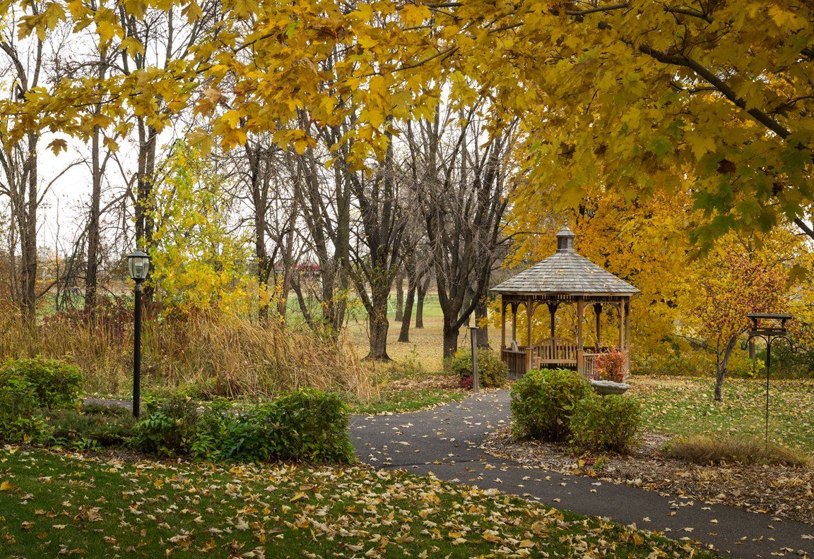A tranquil gazebo surrounded by vibrant autumn foliage in a peaceful park.