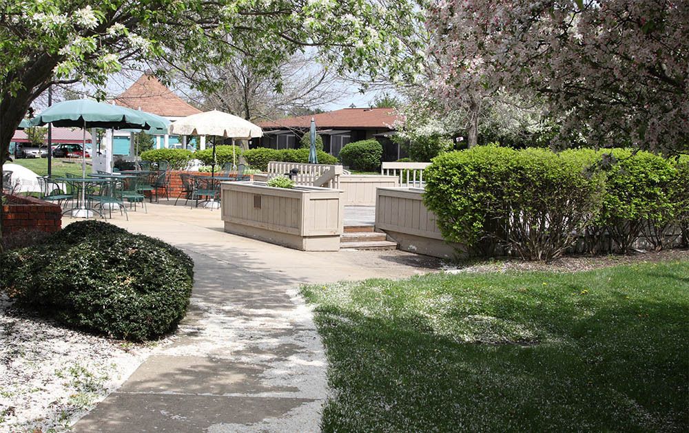A peaceful garden setting with a pathway leading to an outdoor patio area surrounded by lush greenery and trees in bloom.